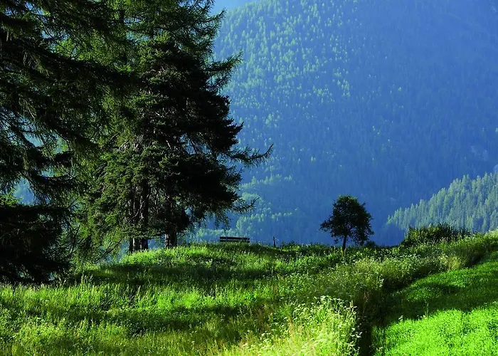 Paradies 5* Фтан